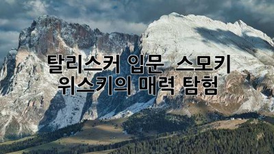 탈리스커 입문 🥃 스모키 위스키의 매력 탐험 ✨