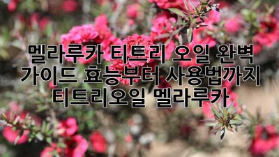 🌿 멜라루카 티트리 오일 완벽 가이드: 효능부터 사용법까지! #티트리오일 #멜라루카